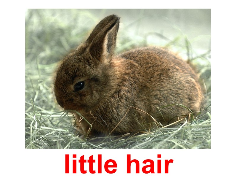 little hair